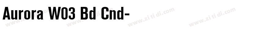 Aurora W03 Bd Cnd字体转换